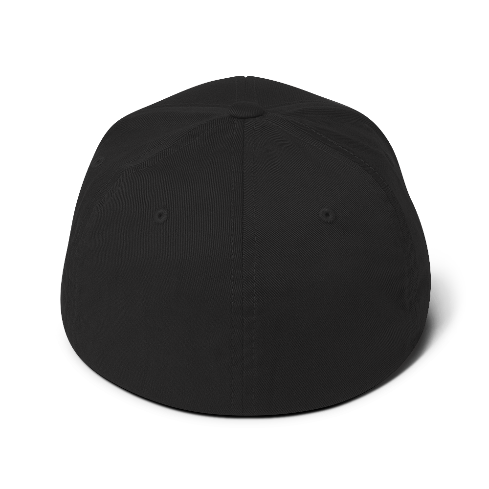 DeLorean Twill Cap