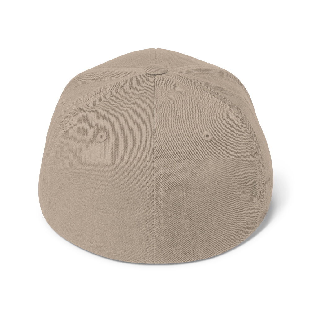 DeLorean Twill Cap