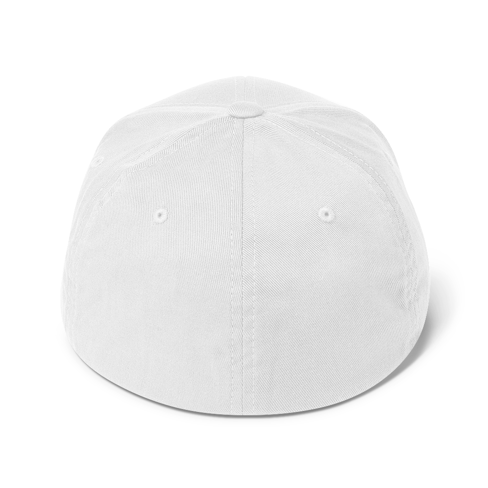 DeLorean Twill Cap